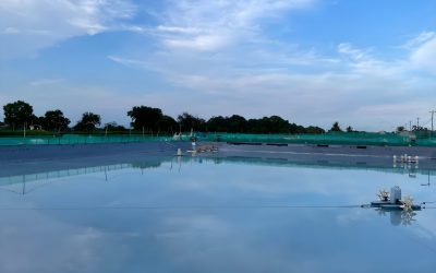 Mengenal Istilah Penting Dalam Budidaya Udang