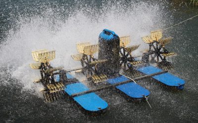 Paddle Wheel Sebagai Solusi Peningkatan Kualitas Air Pada Tambak